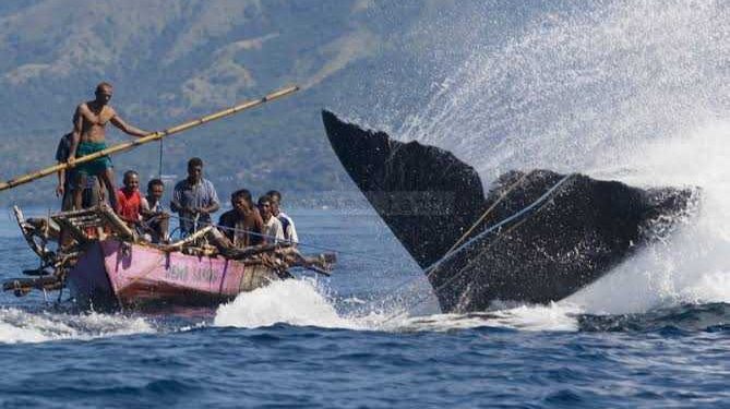 Kepemimpinan Politik Maritim