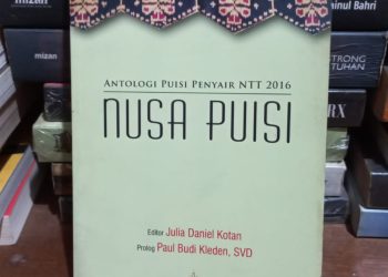 A n g i n     T i m u r