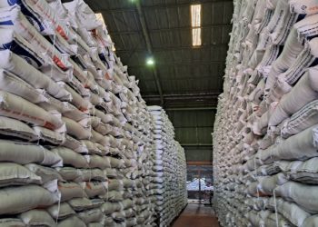 Melacak Akar dari Krisis Beras