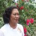 Perempuan Seniman Sumba Itu, Kini Menari di Surga – RIP Mama Martha Dada Gabi