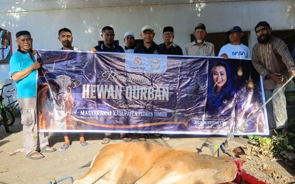 Julie Sutrisno Laiskodat Bagikan Daging Qurban kepada 220 Kepala Keluarga di Masjid Ataqwa Witihama